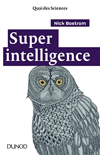 Superintelligence von DUNOD